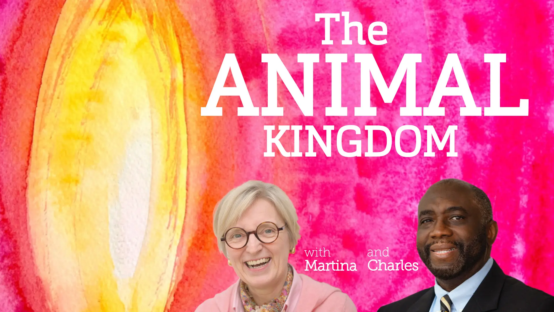 The SANAT KUMARA – AoL34 2025 – Ambassadors of Light – The Animal Kingdom