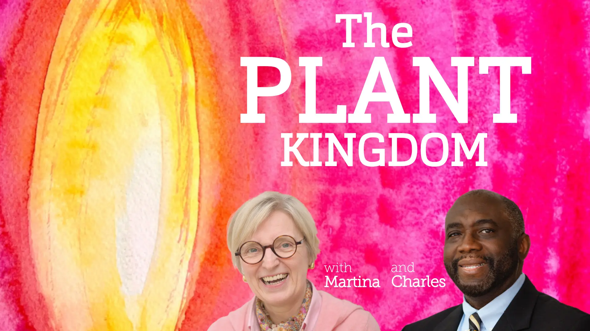 The SANAT KUMARA – AoL35 2025 – Ambassadors of Light – The Plant Kingdom